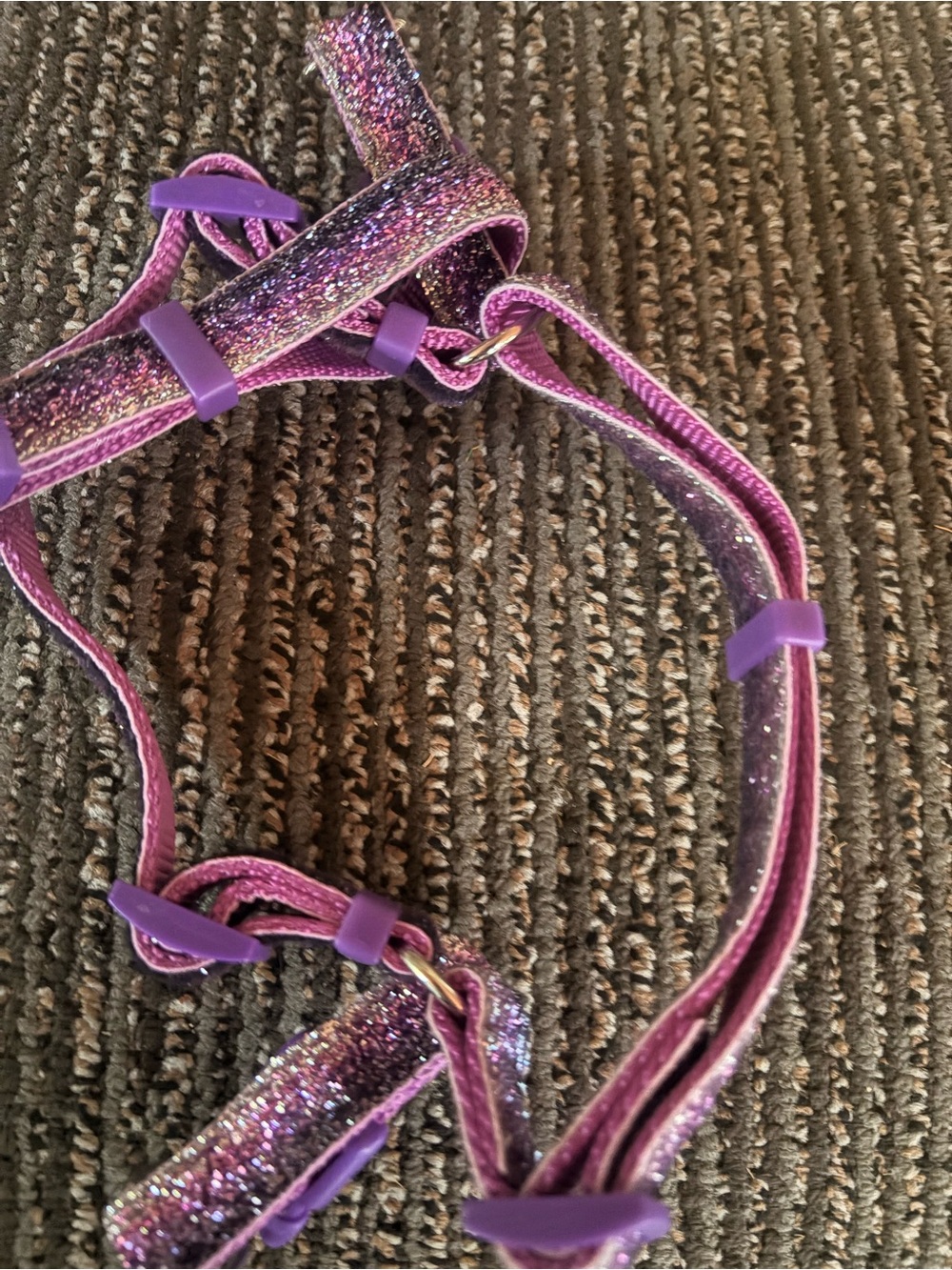 Bundle - Cat or Dog leashes (4) & harness’ (3)